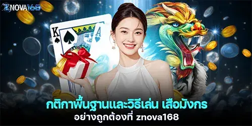 กติกาพื้นฐานและวิธีเล่น เสือมังกร อย่างถูกต้องที่ znova168